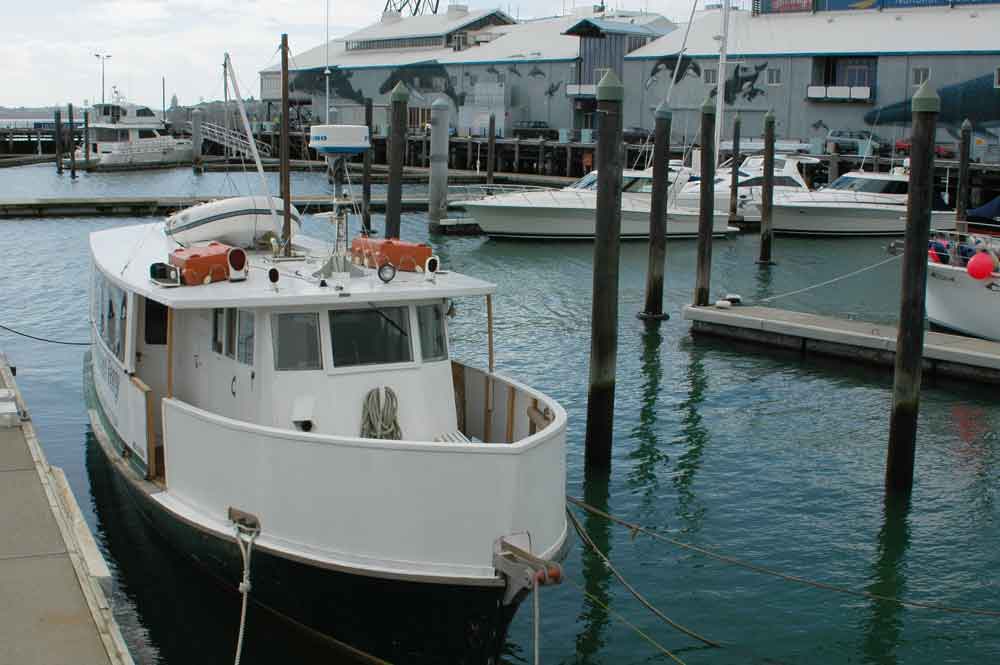 22 - Nueva Zelanda - Auckland, puerto, barco